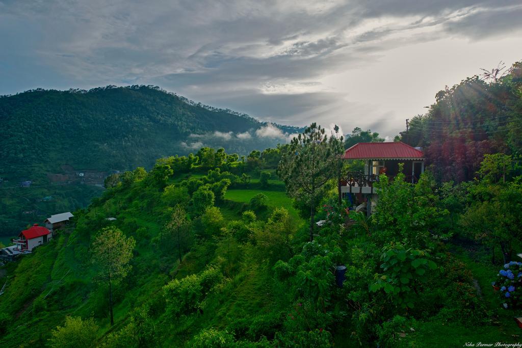 Magpie Retreat Homestay